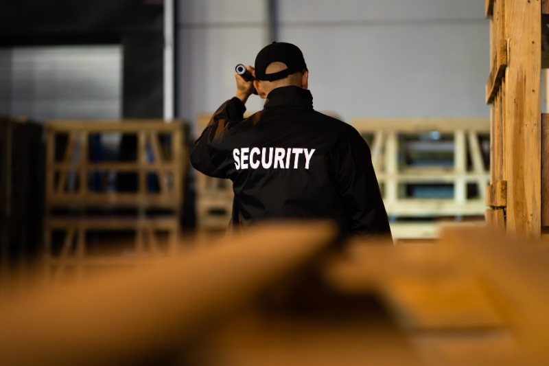 usługi ochrony fizycznej