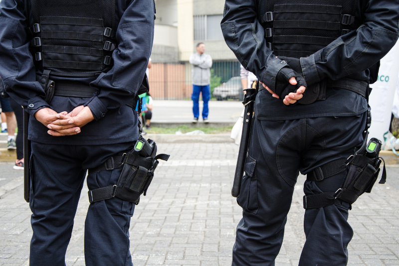 usługi ochrony fizycznej z licencją